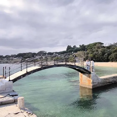 Lumineux, Terrasse Vue - 4 Pers. - Fr-1-226-567 Lejlighed *